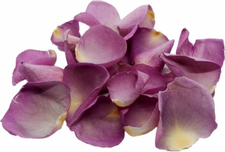 Mauve Rose Petals